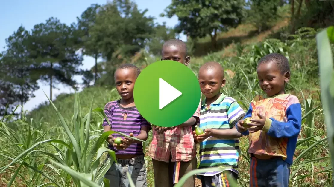 How GiftTrees Training Helps Farmers Grow Fruit Faster Through Grafting